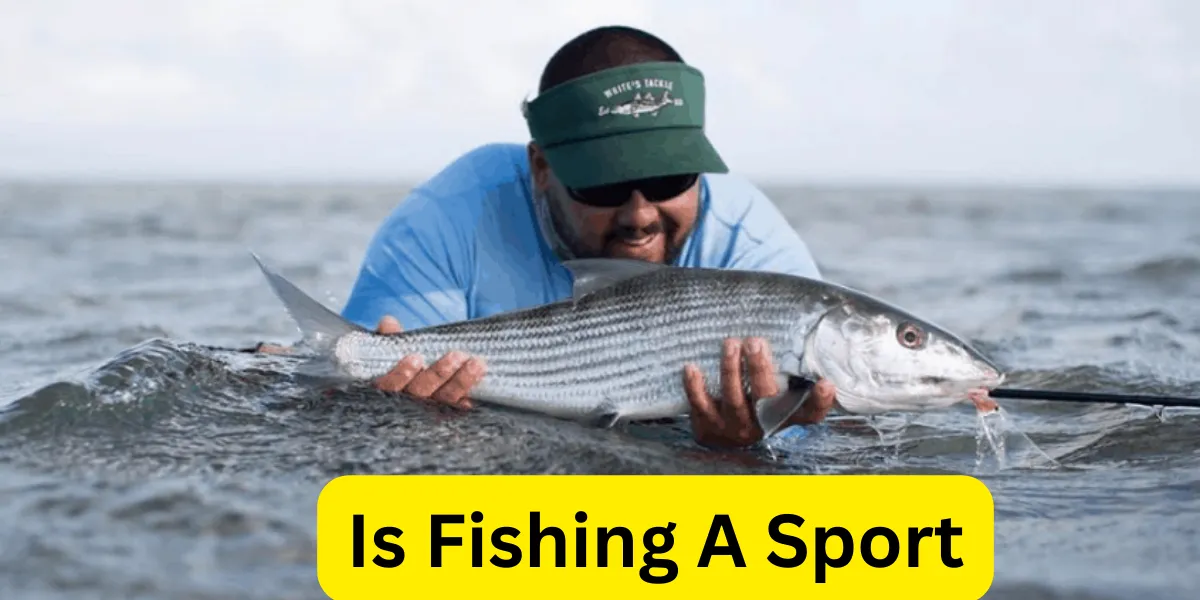 Is Fishing A Sport