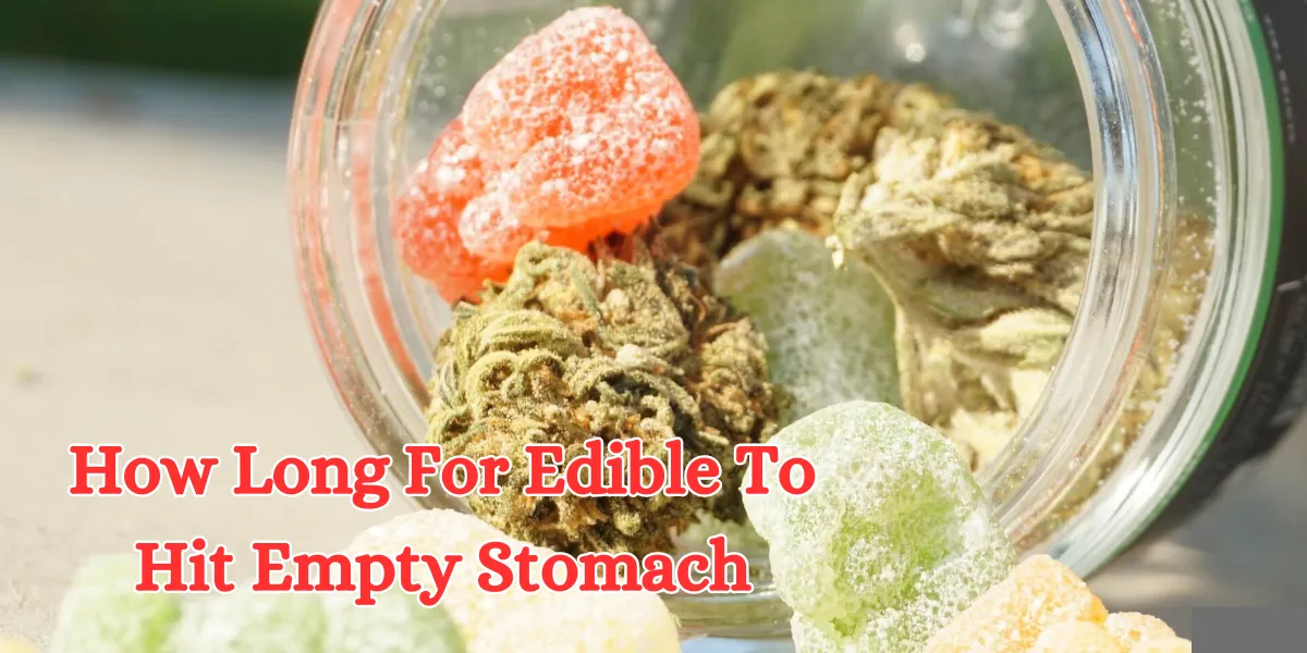 How Long For Edible To Hit Empty Stomach (1)